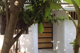 Puerto Juarez House | Quinta Salamandra tropical paradise close to beach