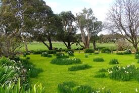 Port Fairy Cabin | Arrondoon 1 Bedroom at Cherry Plum Cottages