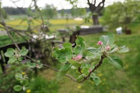 Pargas Bed & Breakfast | Houtskär-BB cottage in traditional arkipelag home