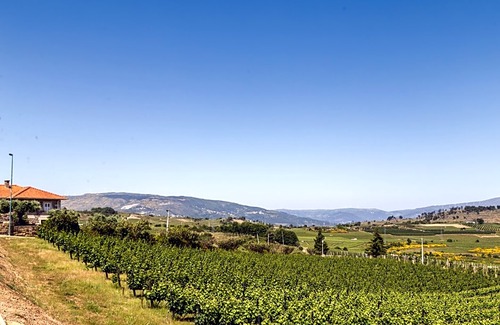 Queimada Hotel | Quinta da Barroca
