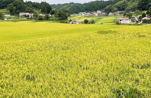 Okuizumo-cho Hotel | Jeck