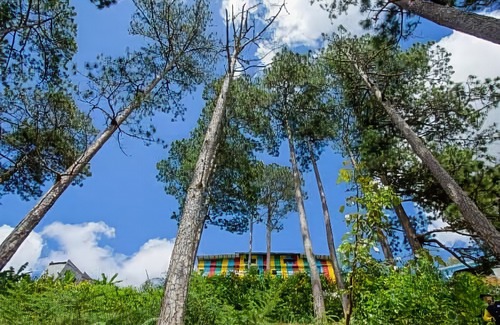 Da Lat Hotel | IColor Dalat Hostel