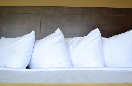 Canton Hotel | Best Western University Inn
