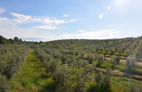 Farnese Hotel | Il Podere di Marfisa
