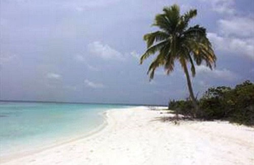 Mahibadhoo Hotel | Goby Lodge Guest House