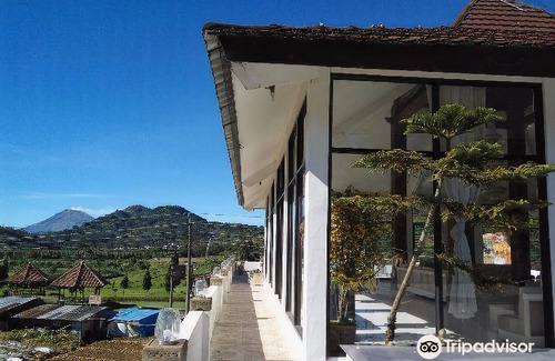 Dieng Kulon Hotel | Tani Jiwo Hostel