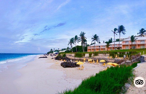 Paget Hotel | Coco Reef Bermuda