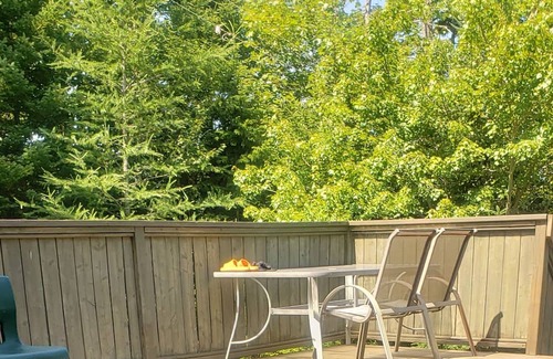 Halifax County House | The perfect home Away From Home 🏡