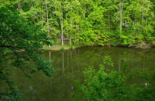 Martinsville House | Lakefront-nestled in Nirvana