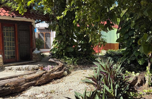 Tulum City Center Cabin | Beautiful treehouse in the heart of Tulum