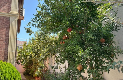 Baku House | Luxury villa in Mardakan for COP29