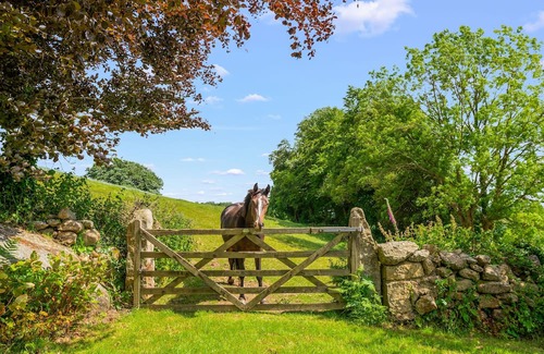 Moretonhampstead Cottage | The Annex sleeps 2 guests in 1 bedroom