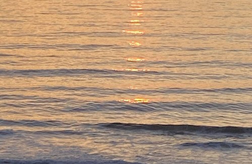 Nesika Beach House | Ocean front 2 bedroom house with WiFi in Gold Beach monthly rental