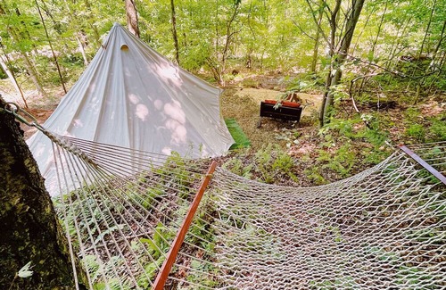 Shinglehouse RV Rental | Glamping Tent in Port Allegany