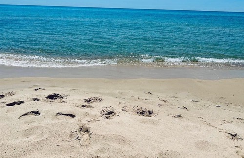 Eastern Hammamet Apartment | Apartment La Tulipe very high standard with Sea View next to La Badira