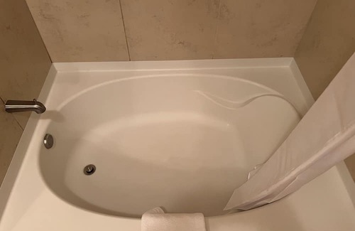 Mason Apartment | Fully furnished 1 bedroom apartment in MASON!