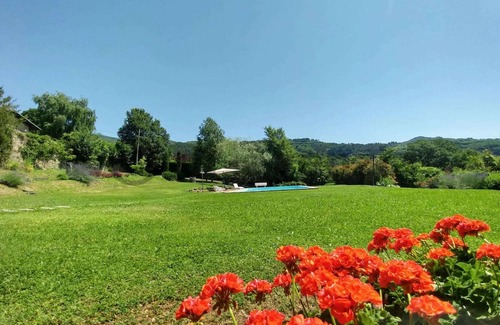 Villa Collemandina House | Holiday house with pool (exclusive use)
