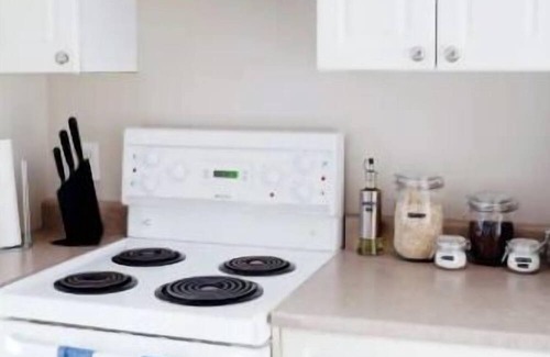 Harrison Hot Springs Condo | Fully Equipped Beach Style Studio