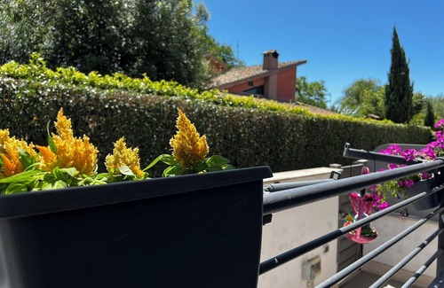 Zona XXX Castel Fusano Villa | Benvenuti a Paolas House, la Vostra Oasi di Relax a Roma!