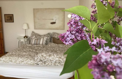 Gastern Apartment | Cottage für 2 Personen in Ruhiger Lage