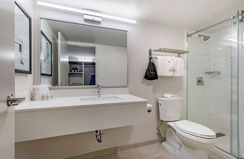 Rockville House | Exciting DC Attractions Just a Short Drive from Top-Tier Comfort