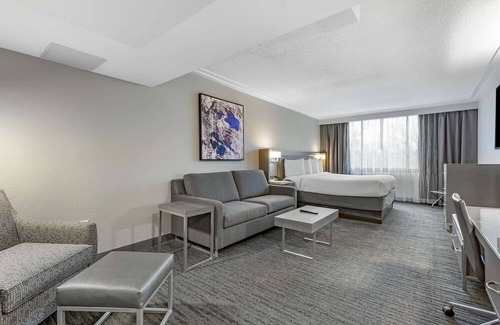 Rockville House | Exciting DC Attractions Just a Short Drive from Top-Tier Comfort