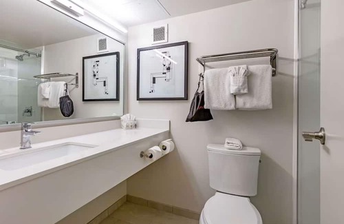 Rockville House | Classy Suite near I-270, Ideal for Business and Leisure Travel