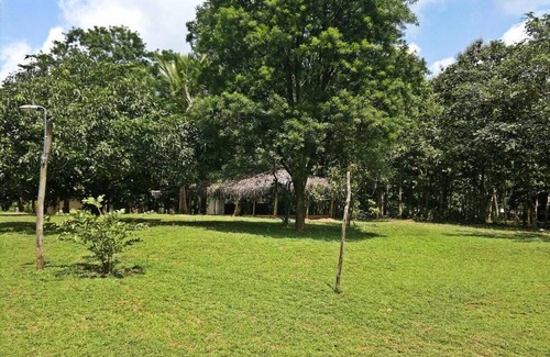 Habarana Cabin | Cabin - Eagles Wing's Guest House