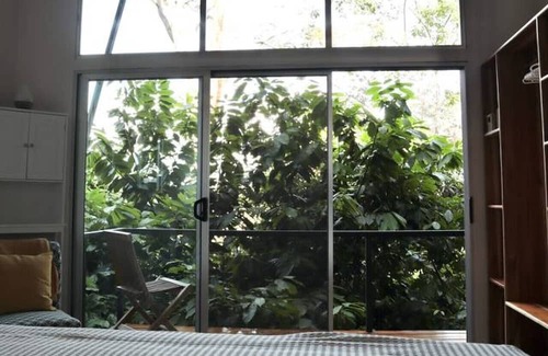 Parrita House | Experience nature,amidst nearly 900 tropical cacao trees!