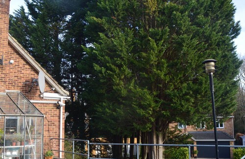 Weybridge House | Weybridge shared house in very upmarket area where celebs live.