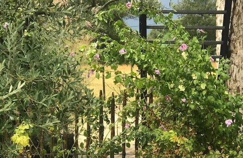 Valaurie House | Homerez - Nice house for 2 ppl. with shared pool, garden and terrace at Valaurie