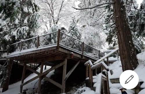 Cedar Glen Cottage | Lazy dog cottage, dog friendly Cozy cottage nestled in the trees n
