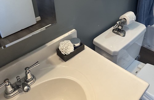 Carnegie Apartment | The birds and the bee’s Wi-Fi , cozy, allows pets