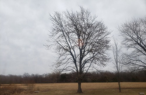 Ozark RV Rental | Primitive camping for April 8th 2024 southern illinois eclipse