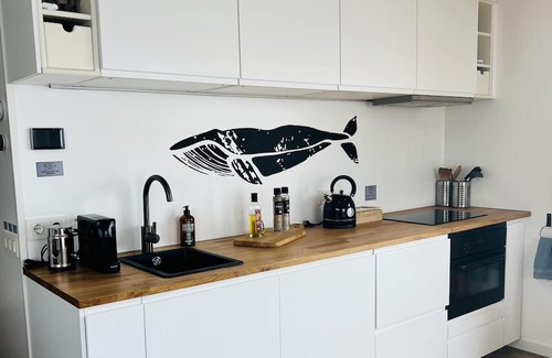 Oud Ade Boat Rental | Houseboat: "De Walvis" at Kagerplassen with tender. 4+ 2 kids