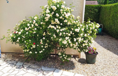 Neauphle-le-Vieux Villa | Location 2 Chambres D'hôtes Pour 3 Personnes en Pavillon Avec Jardin et Piscine