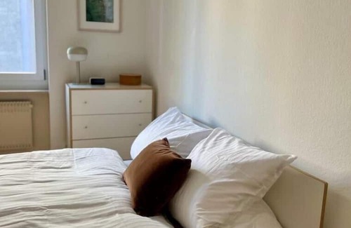 Altstadt Grossbasel Apartment | Schöne Grosse Wohnung Nähe Uni