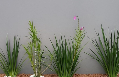 Bonfim Apartment | Studio Teresa - next to UFSJ and Church of Sao Francisco de Assis