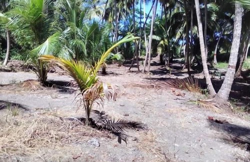 Newcastle RV Rental | Camping Barbados #4 Bring Your Own Tent