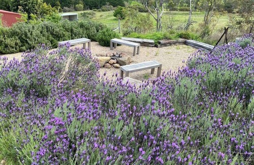 Riverlea House | River Ranch Mudgees Unique Rural Escape