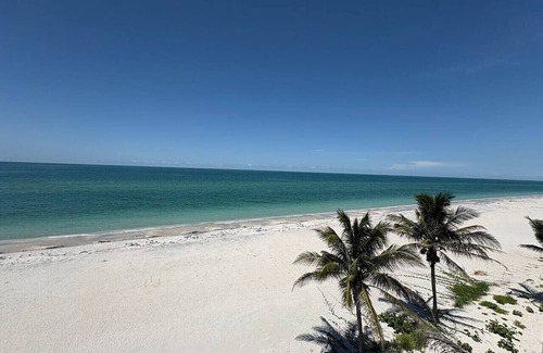 Palm Island Apartment | `Dreamy Beachfront Getaway !`
