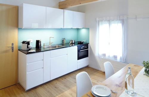 Brienzwiler Apartment | Chalet loft "Rothorn" in Brienzwiler - surrounded by mountains, forest and water