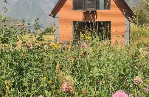 Kazbegi Cottage | Cottage "Cozy Yard" With mountain views in Kazbegi