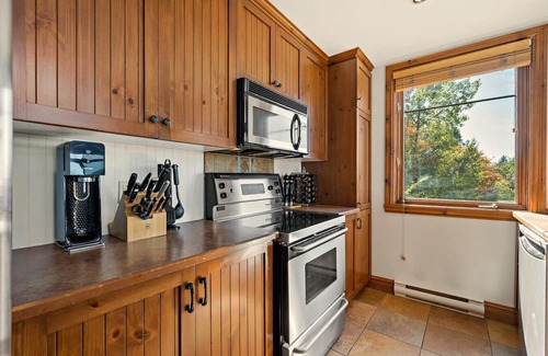 Mont-Tremblant Pedestrian Village Condo | Tremblant Prestige - Altitude 172-11