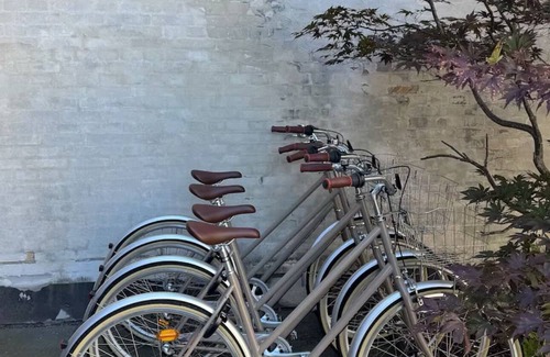 Amager House | 200 sqm I atrium I 6 m ceilings I parking I center I bikes
