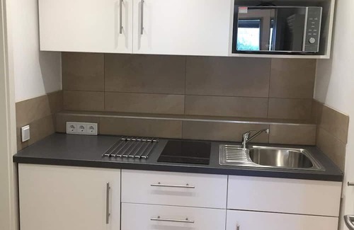 Mainz-Bingen Apartment | Loft 1 - 45 sqm/apartment, shower, WC - Oppenheim Lofts