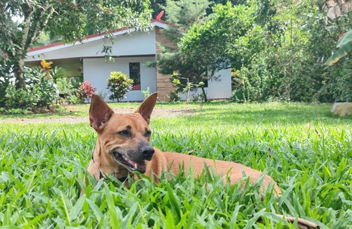 Penjamo House | Quinta Rincon Silvestre w/AC, WiFi & pool in lovely Peñas Blancas near V. Arenal