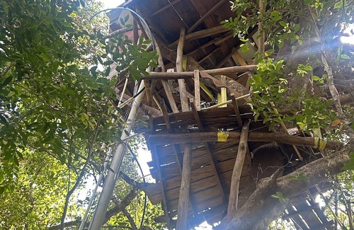 Sakleshpur Cabin | Treedom Treehouse Eco-Restoration getaway in the Jungles of South India