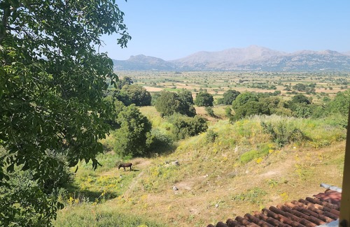 Magoulas Apartment | Dionysus House Lasithi Plateau