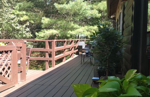 North Carver Cabin | Cozy 2-bedroom cabin in charming Plymouth with AC, WiFi